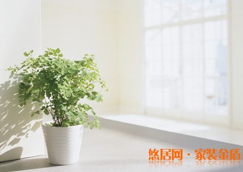 打造健康家居環境采光要好